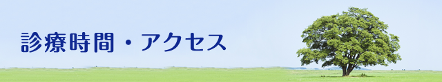 診療時間・アクセス